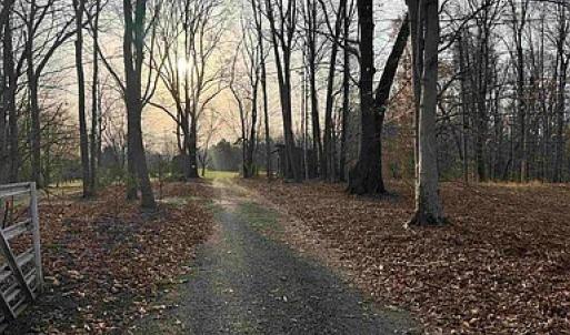 Photo #15 of Paynes Pond Road, Scottsville, VA 118.0 acres