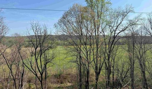 Photo #16 of Paynes Pond Road, Scottsville, VA 118.0 acres