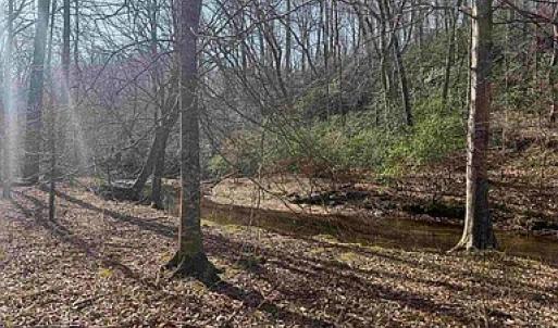Photo #18 of Paynes Pond Road, Scottsville, VA 118.0 acres