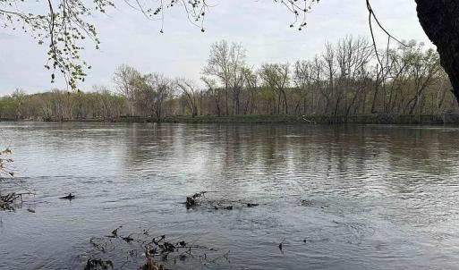 Photo #19 of Paynes Pond Road, Scottsville, VA 118.0 acres