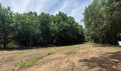 Photo #20 of Paynes Pond Road, Scottsville, VA 118.0 acres