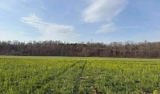 Photo #21 of Paynes Pond Road, Scottsville, VA 118.0 acres