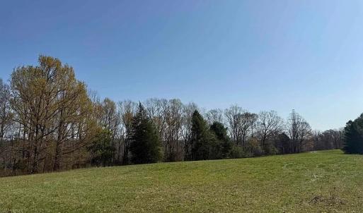 Photo #22 of Paynes Pond Road, Scottsville, VA 118.0 acres