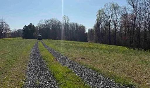 Photo #23 of Paynes Pond Road, Scottsville, VA 118.0 acres
