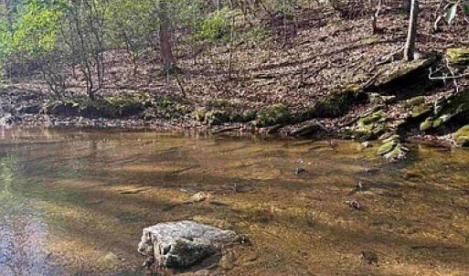 Photo #24 of Paynes Pond Road, Scottsville, VA 118.0 acres