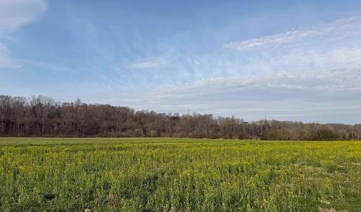 Photo #25 of Paynes Pond Road, Scottsville, VA 118.0 acres