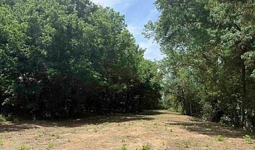 Photo #26 of Paynes Pond Road, Scottsville, VA 118.0 acres