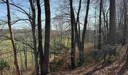 Photo #27 of Paynes Pond Road, Scottsville, VA 118.0 acres