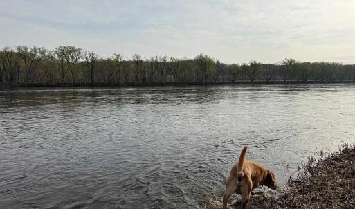 Photo #29 of Paynes Pond Road, Scottsville, VA 118.0 acres