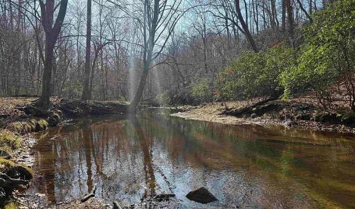 Photo #3 of Paynes Pond Road, Scottsville, VA 118.0 acres