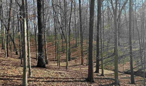 Photo #30 of Paynes Pond Road, Scottsville, VA 118.0 acres