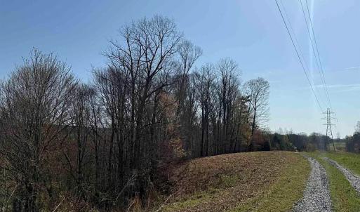 Photo #31 of Paynes Pond Road, Scottsville, VA 118.0 acres