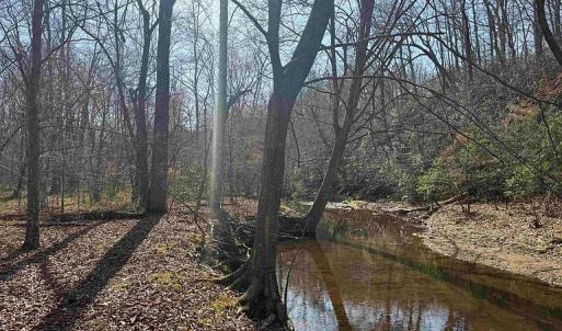 Photo #36 of Paynes Pond Road, Scottsville, VA 118.0 acres