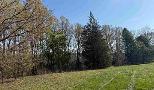 Photo #37 of Paynes Pond Road, Scottsville, VA 118.0 acres