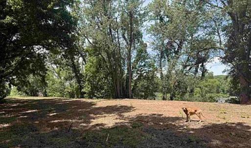 Photo #38 of Paynes Pond Road, Scottsville, VA 118.0 acres