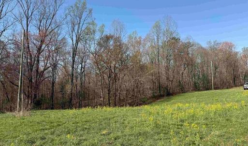 Photo #39 of Paynes Pond Road, Scottsville, VA 118.0 acres