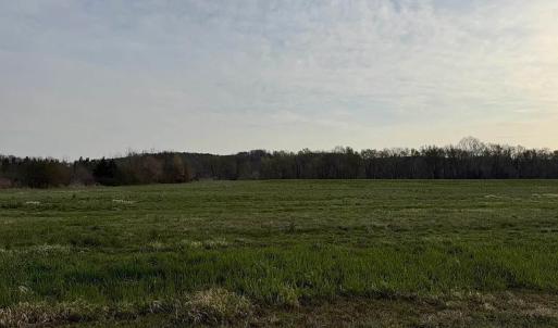 Photo #4 of Paynes Pond Road, Scottsville, VA 118.0 acres