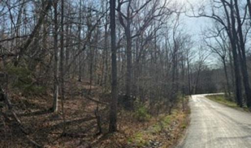 Photo #40 of Paynes Pond Road, Scottsville, VA 118.0 acres