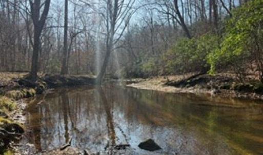 Photo #41 of Paynes Pond Road, Scottsville, VA 118.0 acres