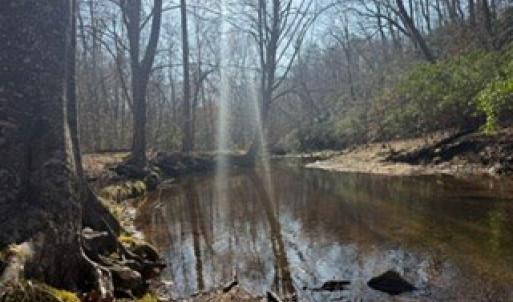 Photo #42 of Paynes Pond Road, Scottsville, VA 118.0 acres