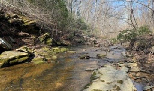 Photo #43 of Paynes Pond Road, Scottsville, VA 118.0 acres