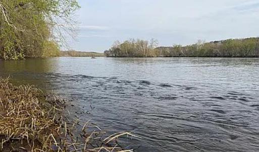 Photo #5 of Paynes Pond Road, Scottsville, VA 118.0 acres