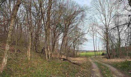Photo #6 of Paynes Pond Road, Scottsville, VA 118.0 acres