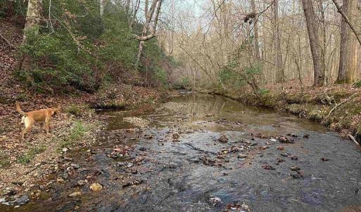 Photo #7 of Paynes Pond Road, Scottsville, VA 118.0 acres