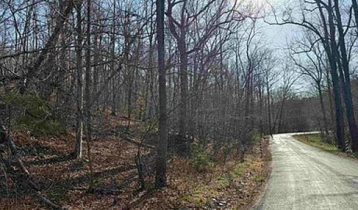 Photo #8 of Paynes Pond Road, Scottsville, VA 118.0 acres