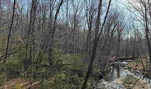 Photo #9 of Paynes Pond Road, Scottsville, VA 118.0 acres