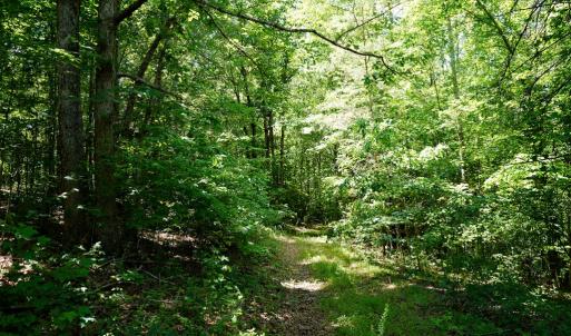 Photo #10 of Birch Elmo Road, South Boston, VA 48.6 acres