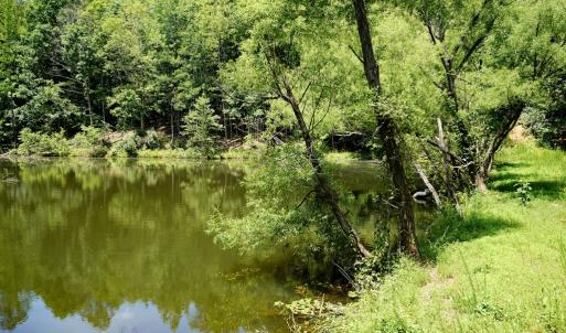 Photo #14 of Birch Elmo Road, South Boston, VA 48.6 acres