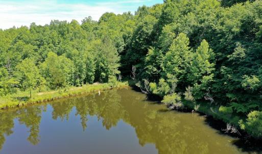 Photo #15 of Birch Elmo Road, South Boston, VA 48.6 acres