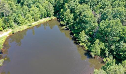 Photo #16 of Birch Elmo Road, South Boston, VA 48.6 acres