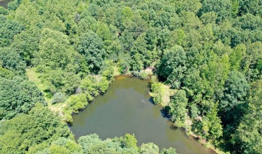 Photo #17 of Birch Elmo Road, South Boston, VA 48.6 acres
