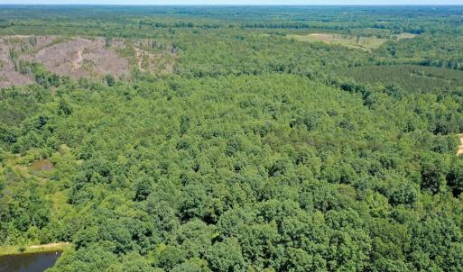 Photo #18 of Birch Elmo Road, South Boston, VA 48.6 acres