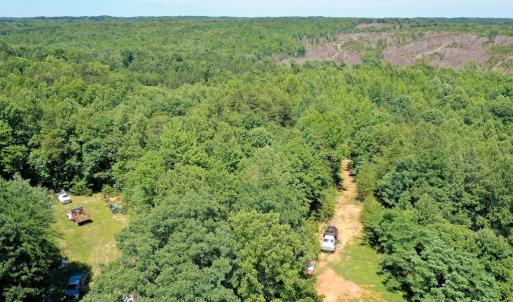 Photo #19 of Birch Elmo Road, South Boston, VA 48.6 acres
