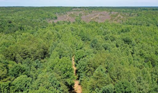 Photo #20 of Birch Elmo Road, South Boston, VA 48.6 acres