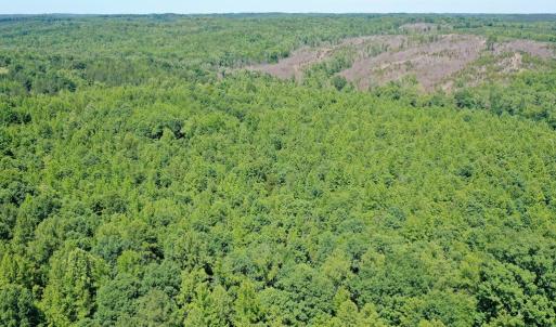 Photo #21 of Birch Elmo Road, South Boston, VA 48.6 acres