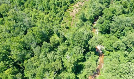 Photo #22 of Birch Elmo Road, South Boston, VA 48.6 acres