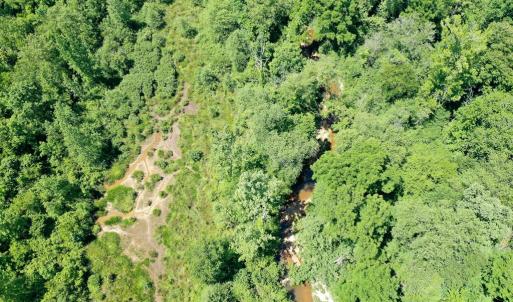 Photo #23 of Birch Elmo Road, South Boston, VA 48.6 acres
