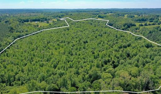 Photo #28 of Birch Elmo Road, South Boston, VA 48.6 acres