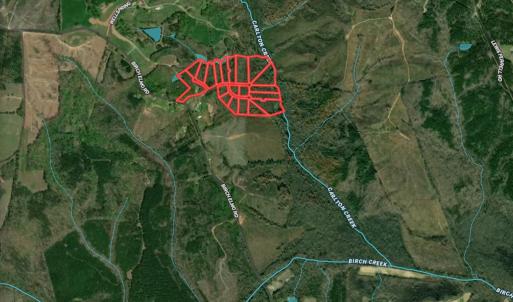 Photo #31 of Birch Elmo Road, South Boston, VA 48.6 acres