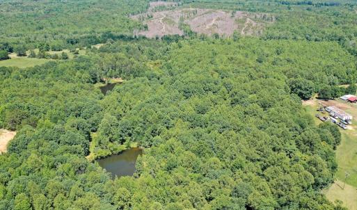 Photo #7 of Birch Elmo Road, South Boston, VA 48.6 acres