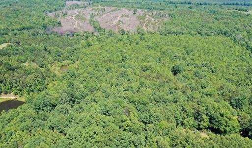 Photo #8 of Birch Elmo Road, South Boston, VA 48.6 acres