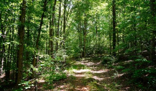 Photo #9 of Birch Elmo Road, South Boston, VA 48.6 acres