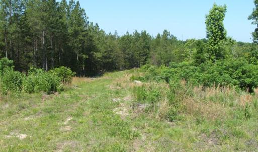 View of property