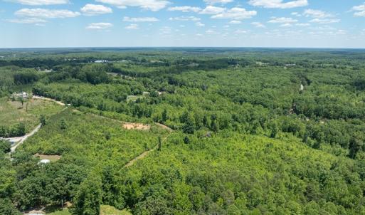 Photo #14 of 153 West Stokes Road, Green Bay, VA 11.6 acres