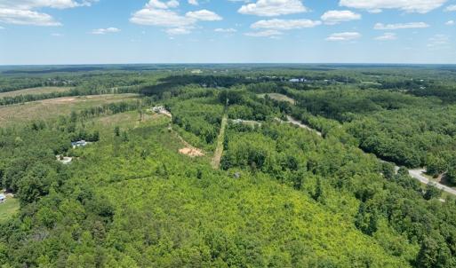 Photo #16 of 153 West Stokes Road, Green Bay, VA 11.6 acres