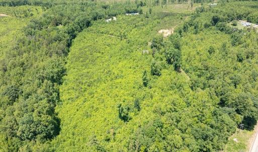 Photo #18 of 153 West Stokes Road, Green Bay, VA 11.6 acres